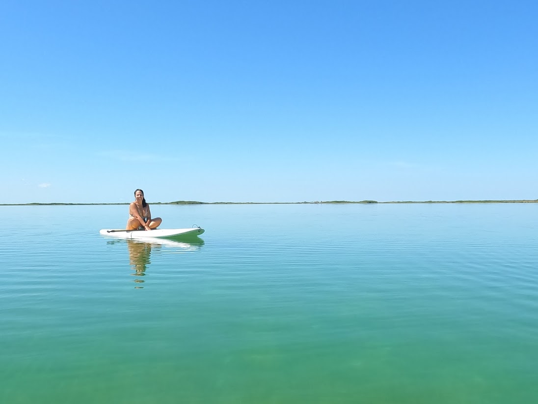 Travel with Trust: Why Transparency Matters