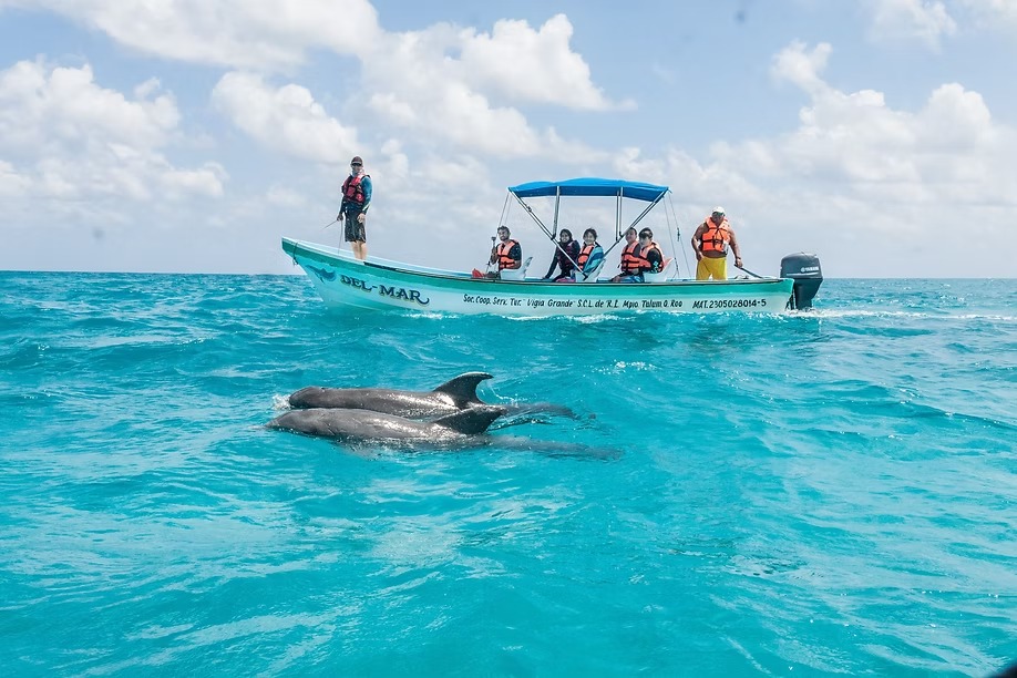 Seven Cenotes Worth the Drive